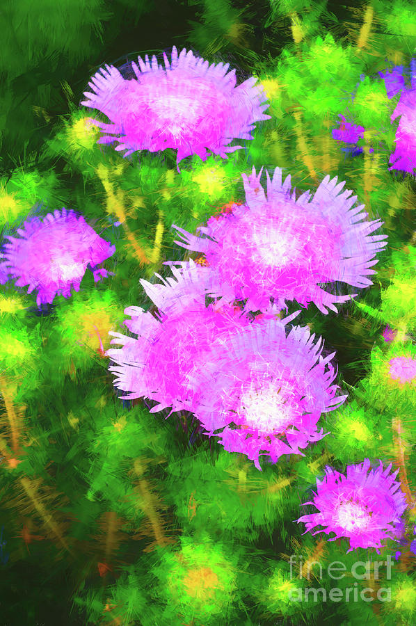 Flowers Still Life Photograph - Impressionistic Stokes Aster by Frances Ann Hattier