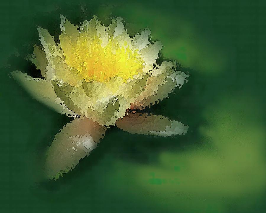 Impressionistic Water Lily Mixed Media by George Harth
