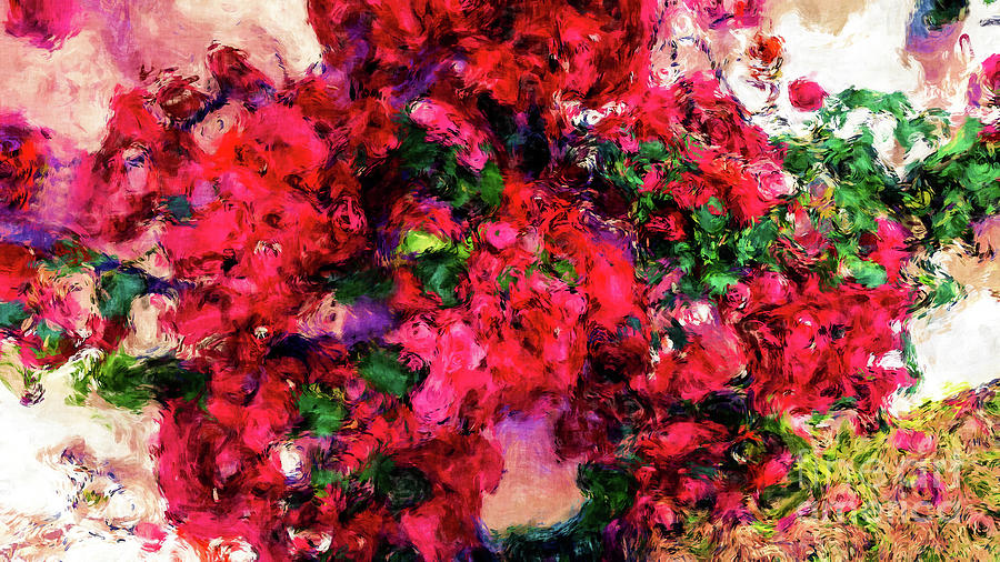 Impressions of Bougainvillea Photograph by Sea Change Vibes