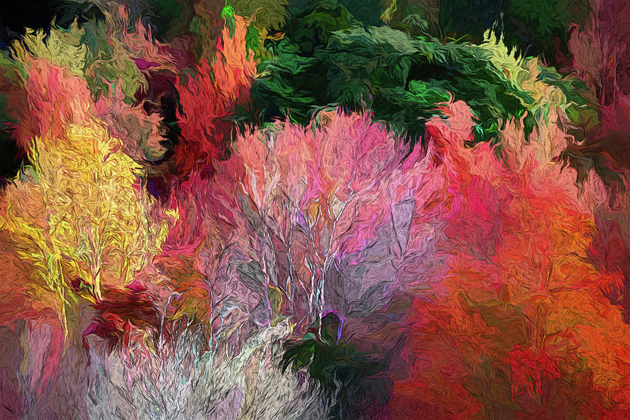 Impressions of Fall at Graveyard Fields Digital Art by John Haldane Impressions of Fall at Graveyard Fields Digital Art by John Haldane