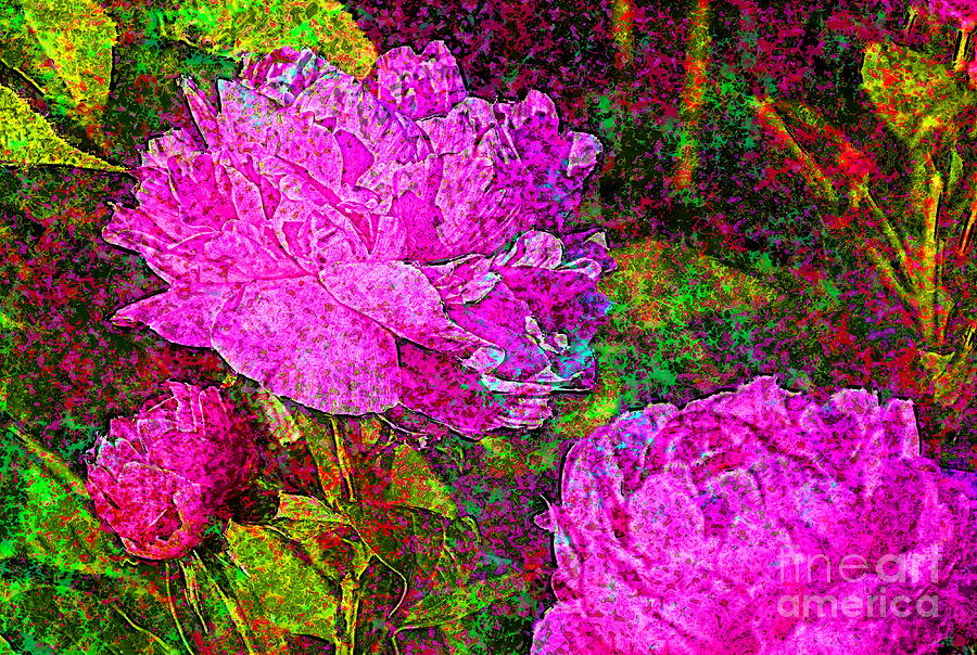 Impressions of Pink Peonies Photograph by Sea Change Vibes