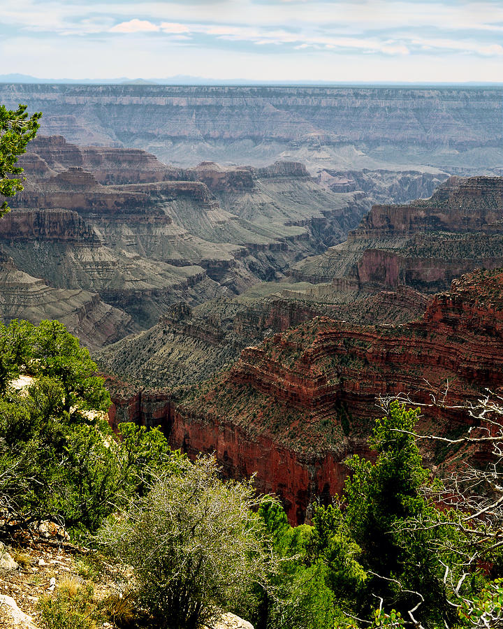 Impressive Grand Canyon NP, Arizona Photograph by KJ Swan