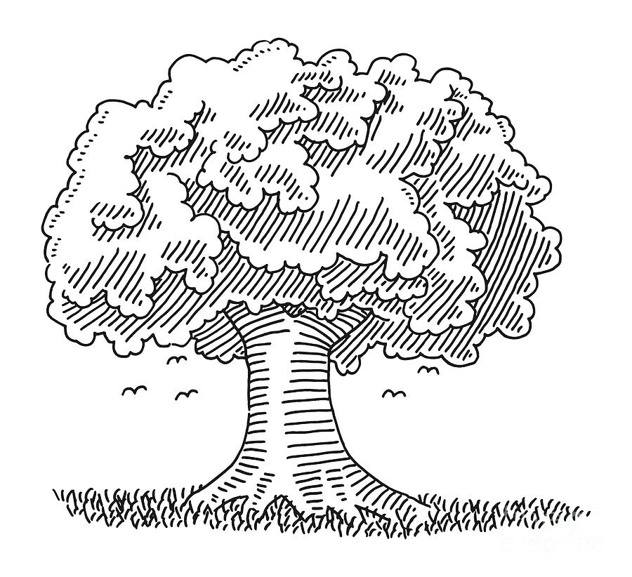 Black And White Drawing - Impressive Tree Symbol Drawing by Frank Ramspott