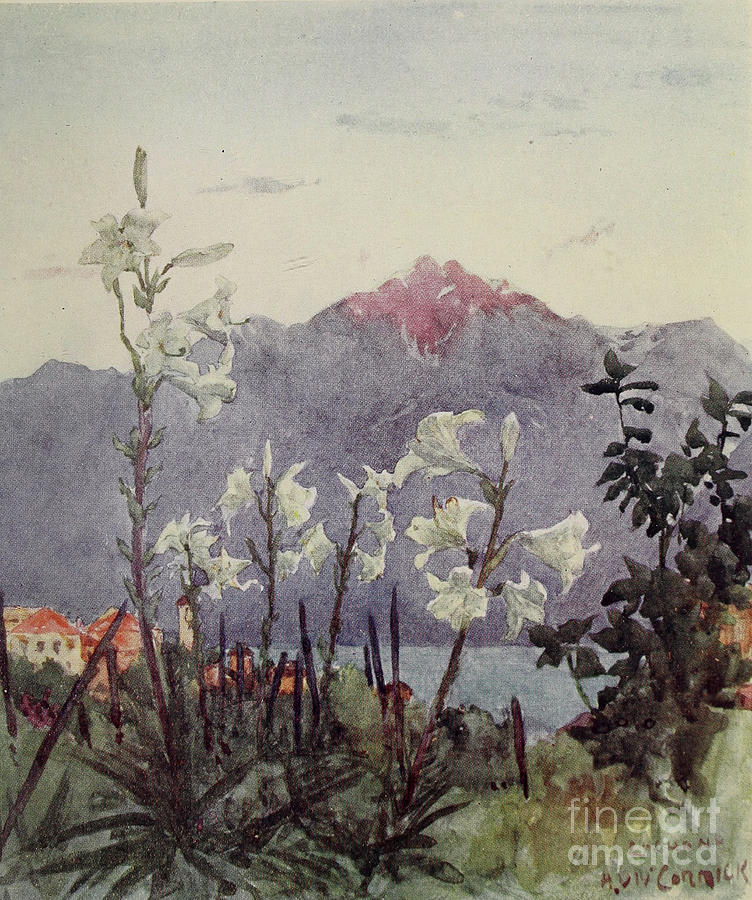 In A Garden At Locarno G2 Drawing