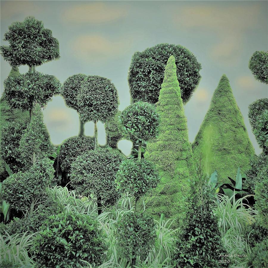 In A Topiary Garden Photograph by Angela Davies