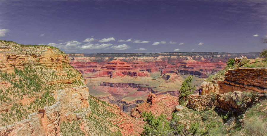 In Awe and Wonder, Grand Canyon View Photograph by Marcy Wielfaert