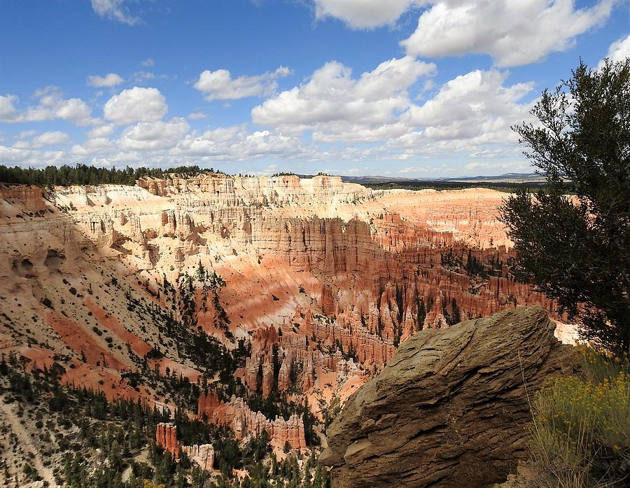 In Bryce Canyon Photograph by Sandra Peery