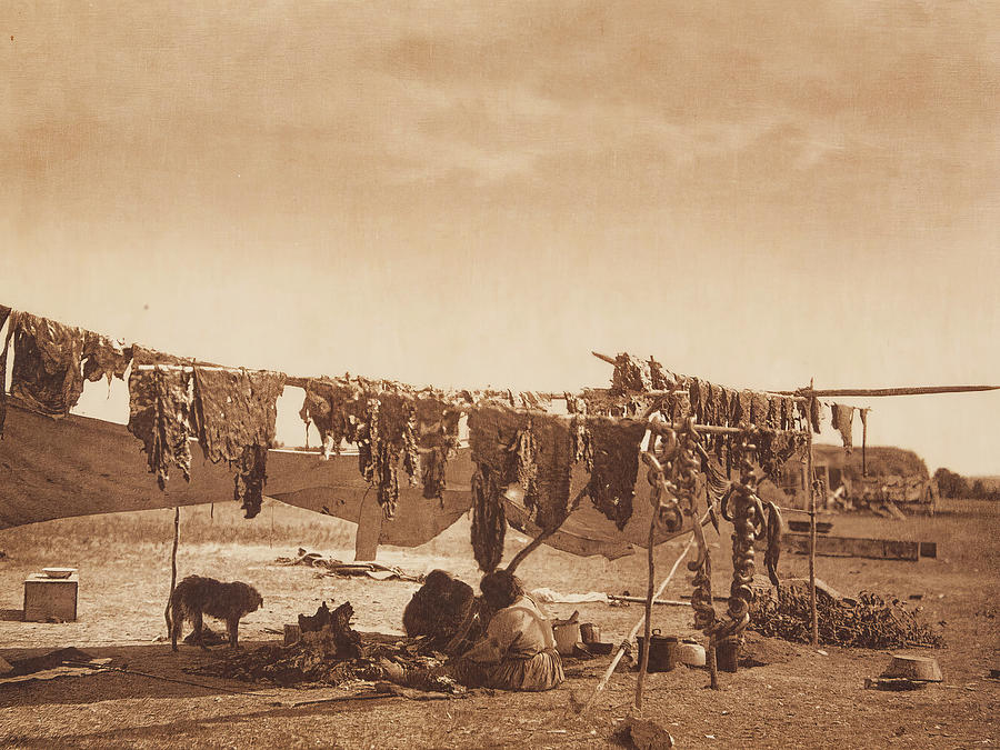 In Camp 1908 Photograph by Edward S Curtis In Camp 1908 Photograph by Edward S Curtis