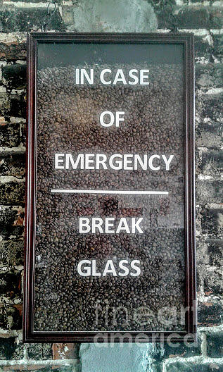 In Case Of Emergency Break Glass For A Cup Of Brew In New Orleans Photograph by Michael Hoard