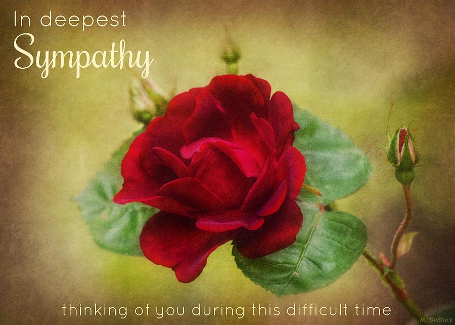 In Deepest Sympathy Greeting Card Photograph by Marilyn DeBlock | Pixels