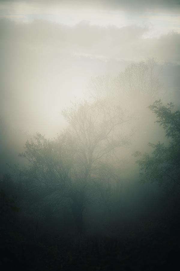 In fog scene at Shenandoah mountains Photograph by Siyano Prach