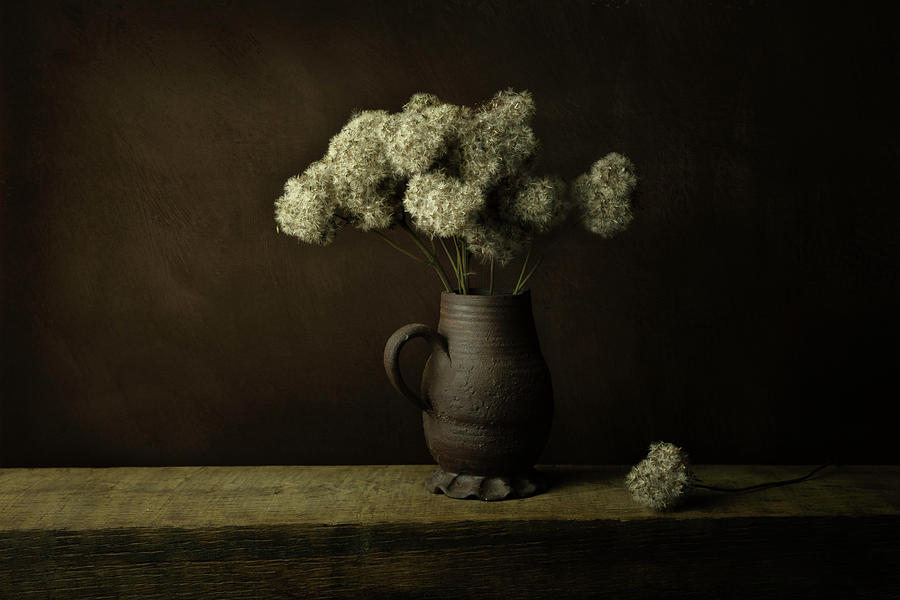 Still Life Photograph - In line with the old masters, dried flower in vase by Joske Kempink