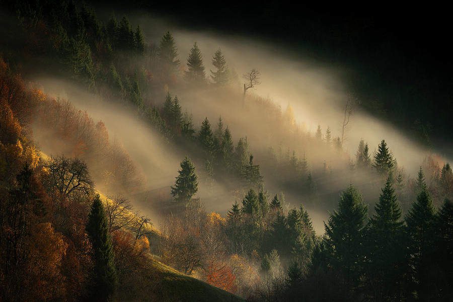 Fall Photograph - In my secret garden by Piotr Skrzypiec