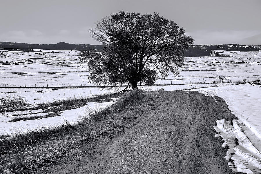 In Solitude Lonely Roads BW  Photograph by Cathy Anderson