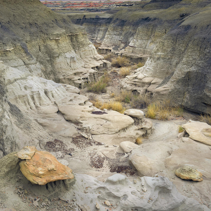 In The Absence of Time - Bisti Badlands Photograph by Alexander Kunz