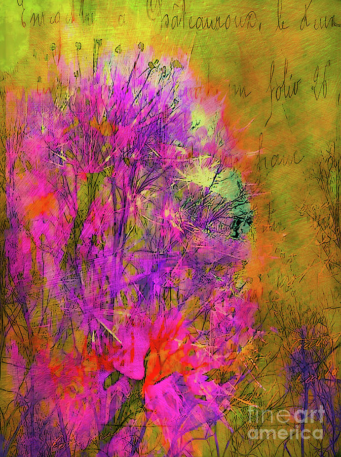 In the Abstract Garden Photograph by Judi Bagwell