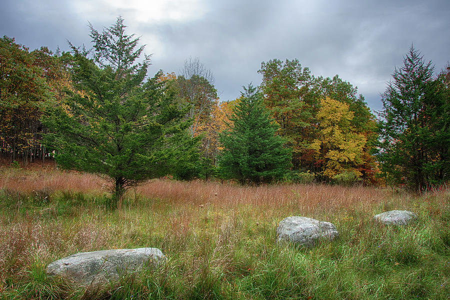 In The Back Country Photograph By Eleanor Bortnick Fine Art America 7330