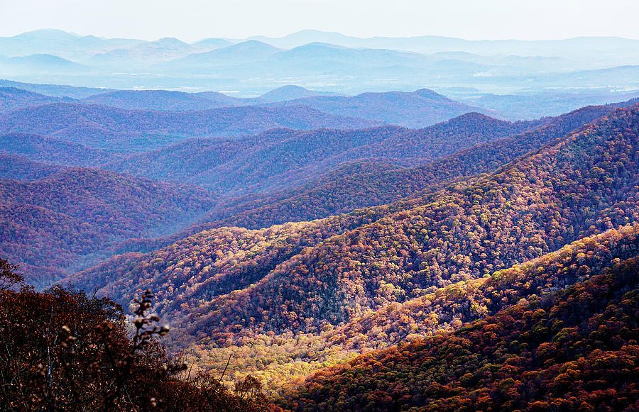 In The Blue Ridge Mountains Photograph by Lisa Spencer