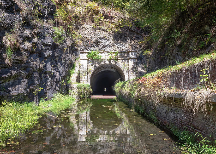 In the Canal at the Paw Paw Tunnel Photograph by Susan Rissi Tregoning