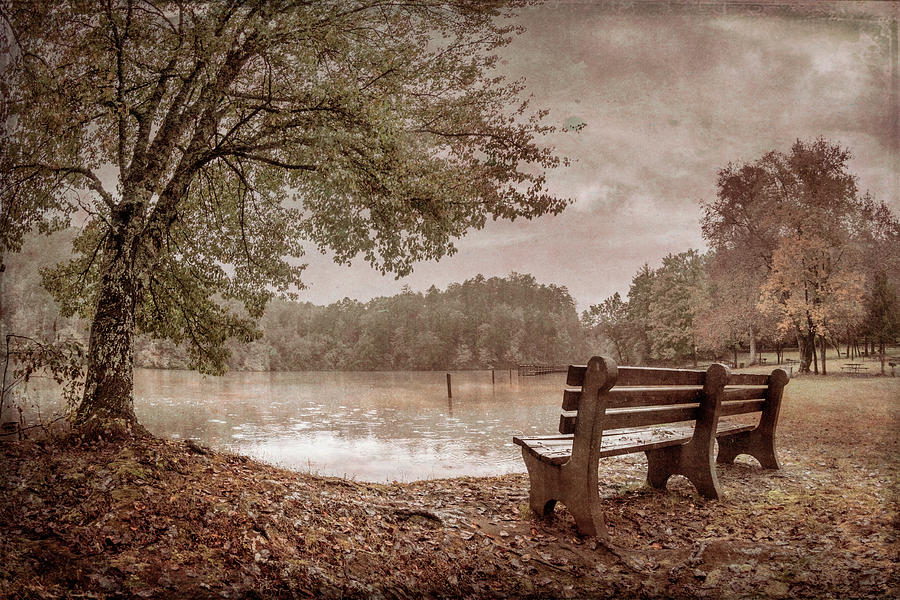 In The Cool of Autumn in Vintage Tones Photograph by Debra and Dave Vanderlaan