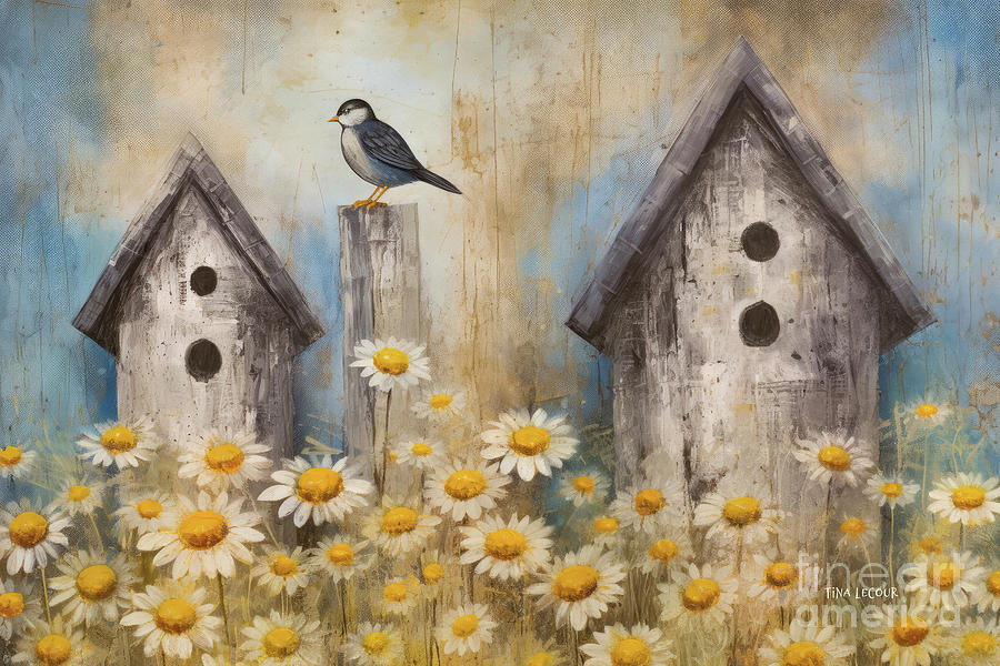 In The Daisy Garden Painting by Tina LeCour