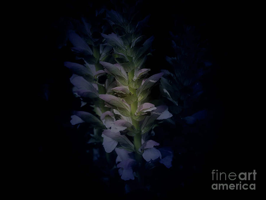 In the Dark by Sandy Gabriel In the Dark by Sandy Gabriel