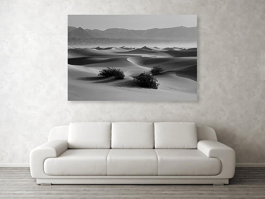 In the Desert in a Room Photograph by Talia Almarsi - Fine Art America