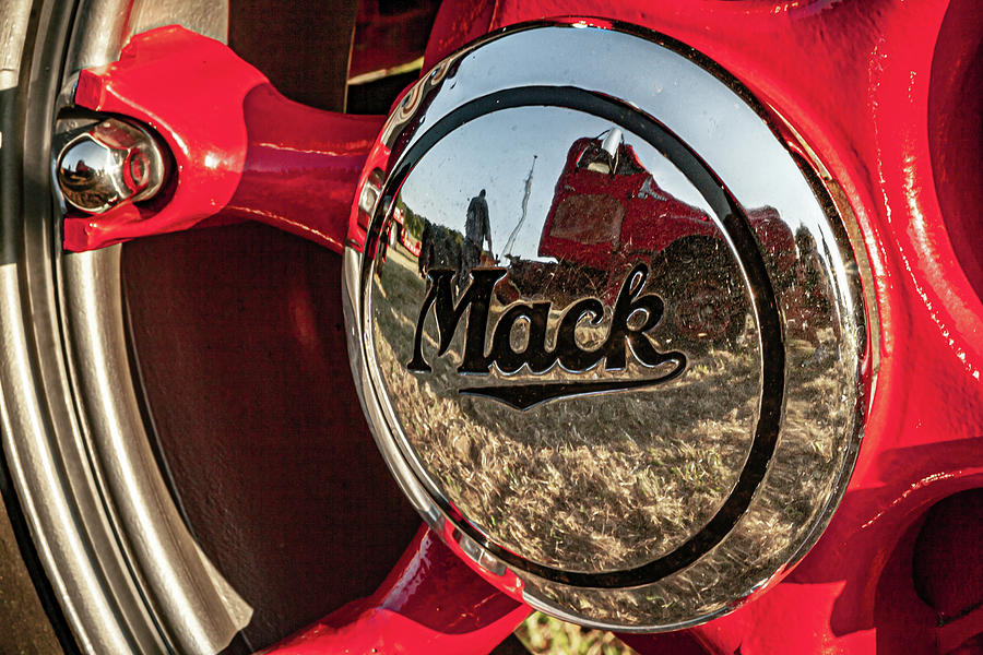 In The Eyes of Mack Photograph by Linda Unger