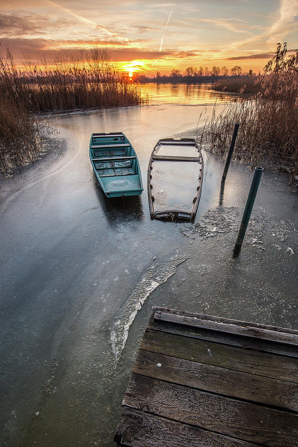 In the frozen port Photograph by Davorin Mance