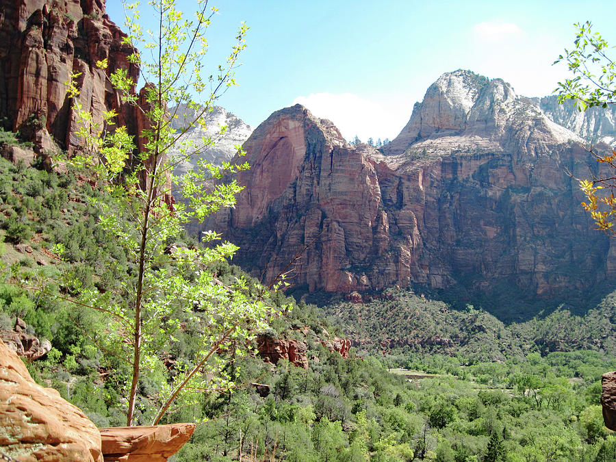 In The Heart Of Zion Photograph