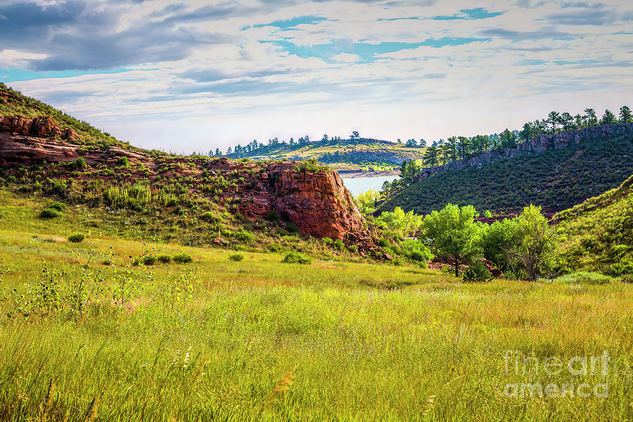 Colorado State University Photograph - In The Meadow by Jon Burch Photography