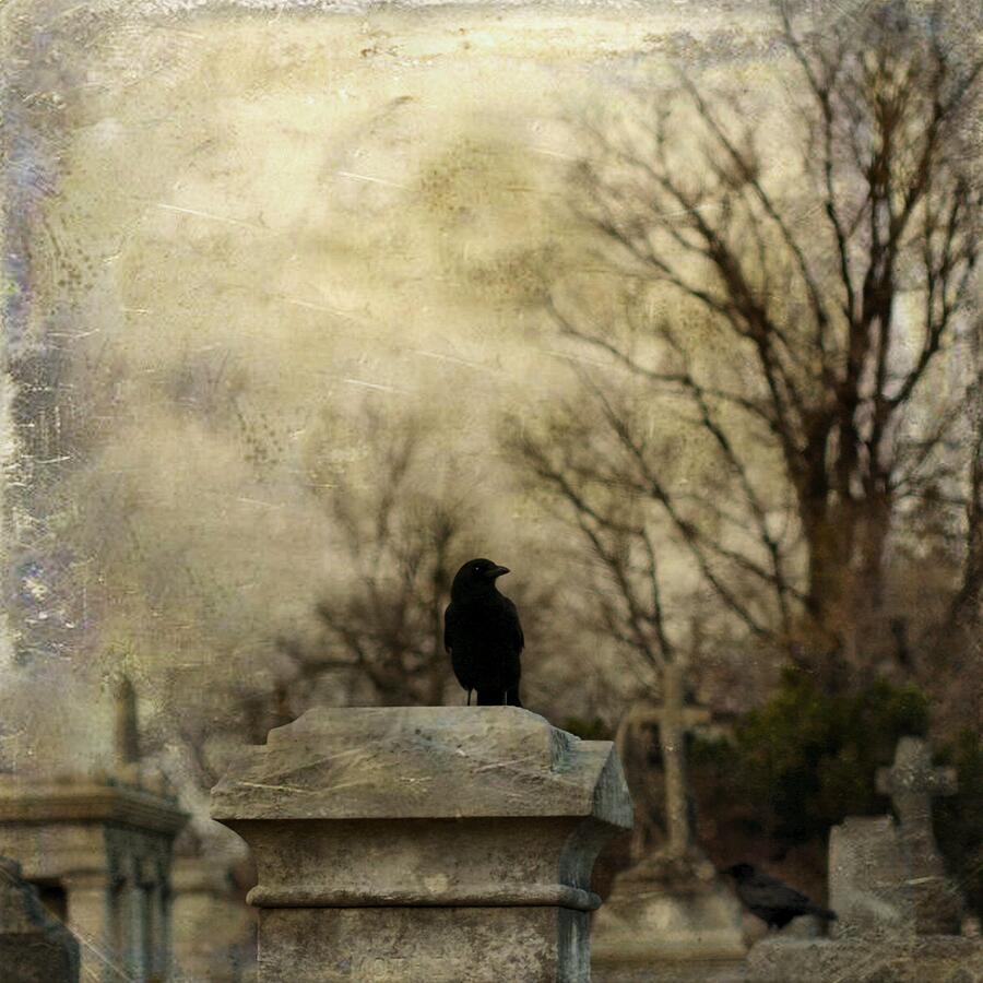 In The Midst Of A Graveyard Photograph by Gothicrow Images - Fine Art ...