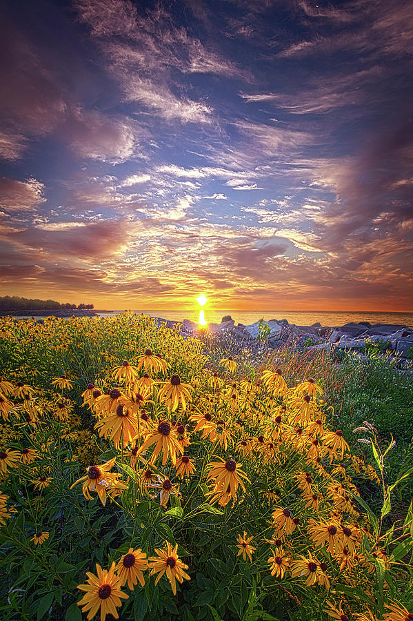 In The Moment Photograph by Phil Koch