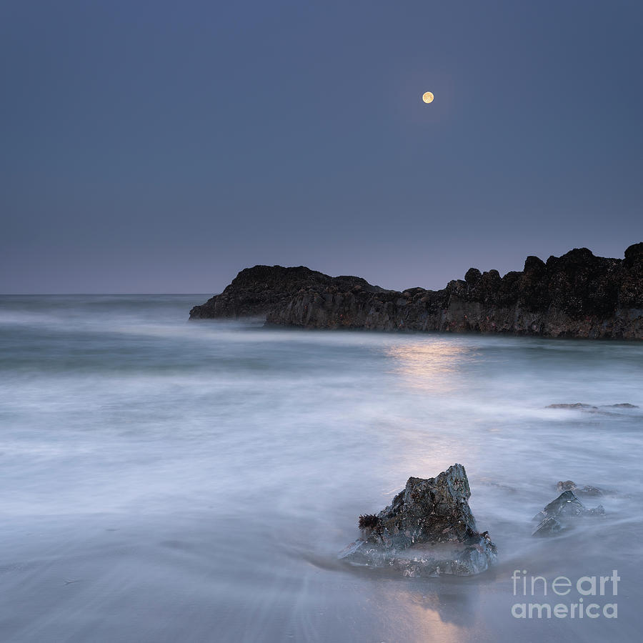 In the Moonlight Photograph by Masako Metz