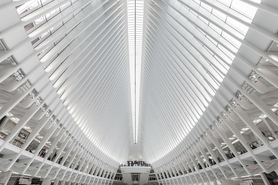 Architecture Photograph - In the Oculus by Kent O Smith  JR