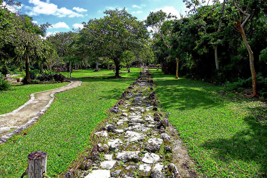Landscape Photograph - In the Path of the Mayans by Rick Lawler