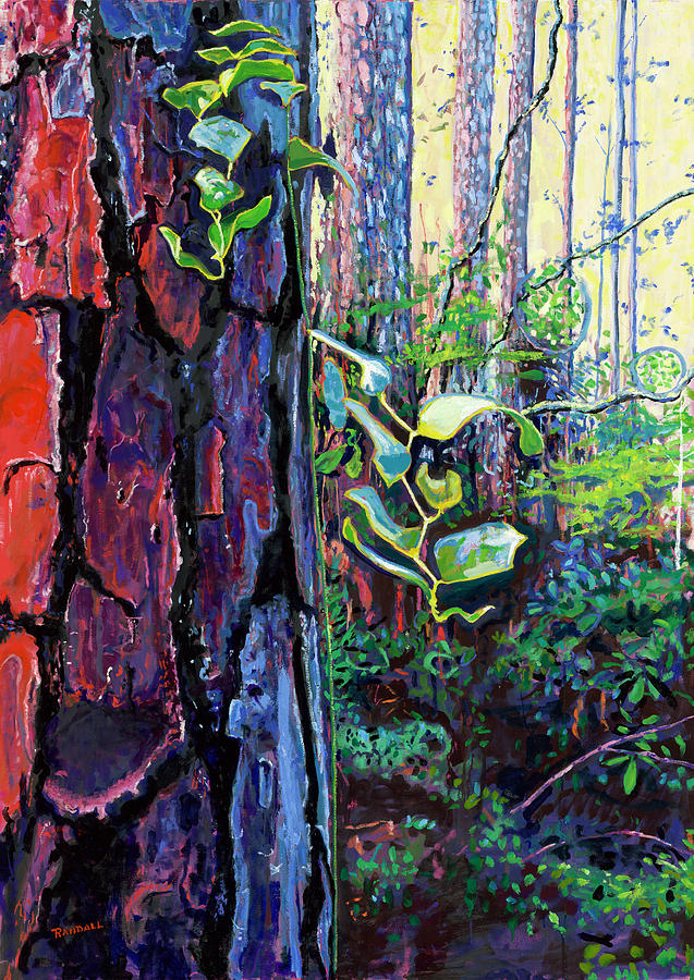 In the Pines Painting by David Randall