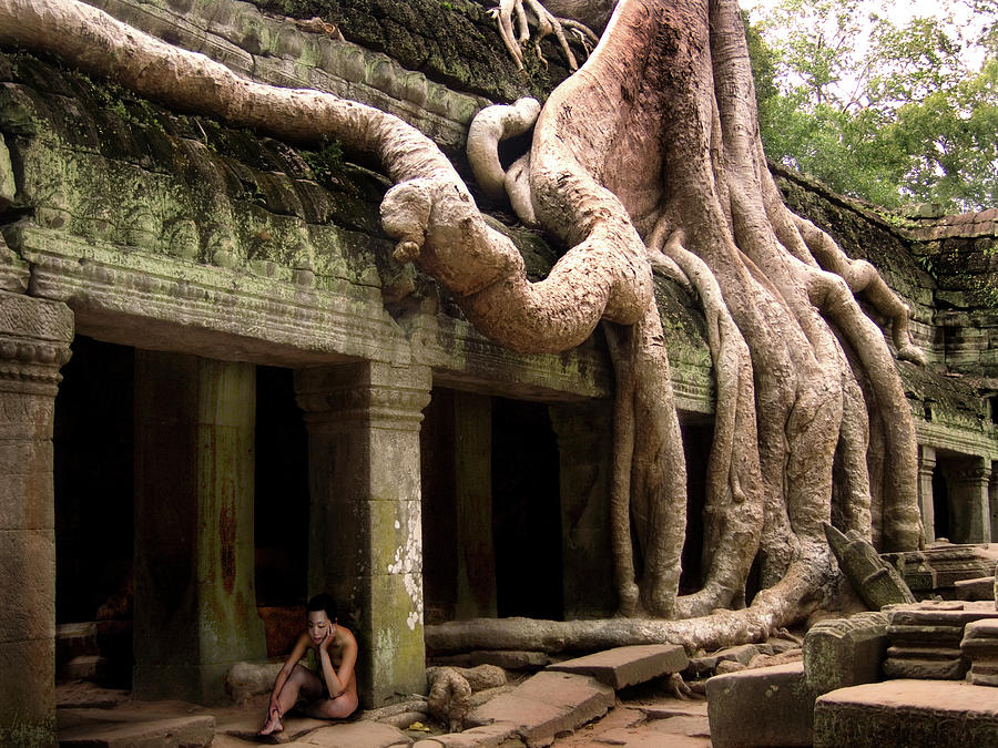 In the Ruins of Ta Prohm Photograph by Mark Gomez