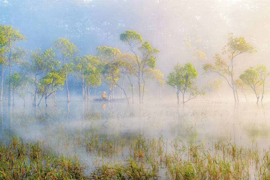 In The Swamp Photograph by Khanh Bui Phu