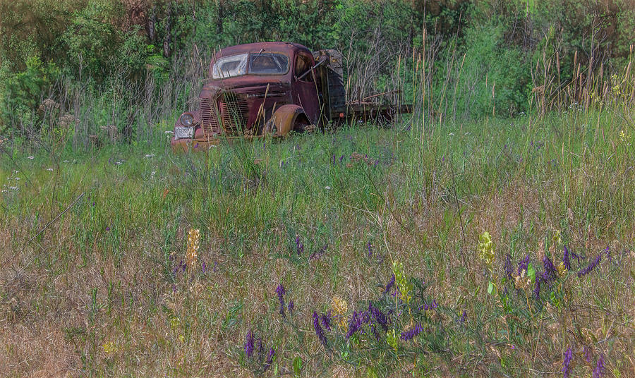 In the Weeds, A Rusty REO Speed Wagon Photograph by Marcy Wielfaert