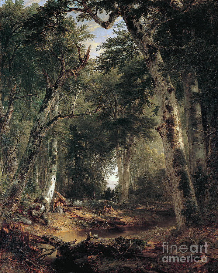 In The Woods, 1855 Painting by Asher Brown Durand