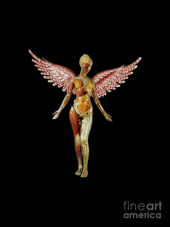 In Utero Nirvana Digital Art By Fran Meneses Fine Art America 6646