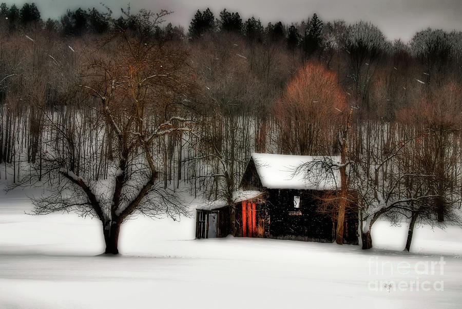 Winter Photograph - In Winter by Lois Bryan