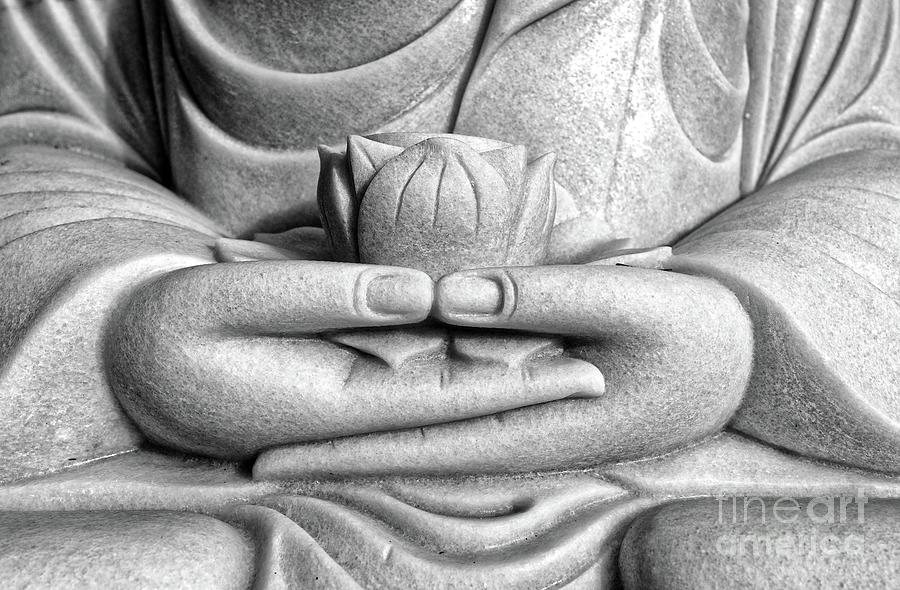 Buddha Holding Lotus Flower Photograph by Dean Harte
