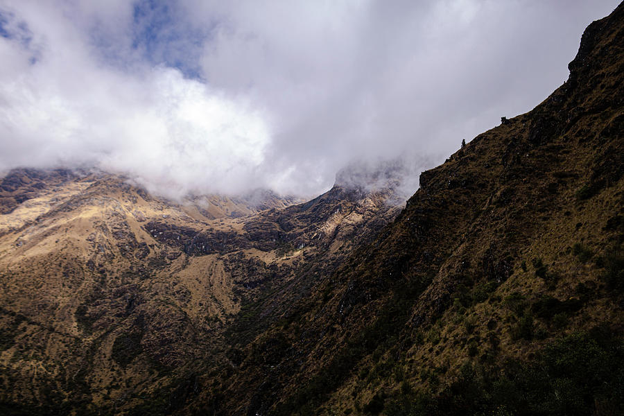 Inca Trail Cloud Forest Photograph by Courtney Eggers | Pixels