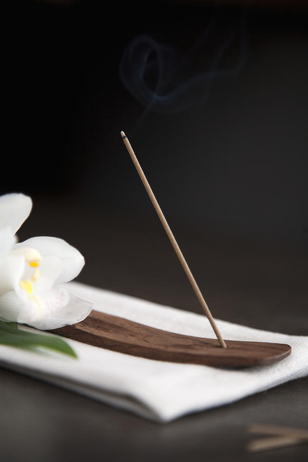Incense and flower Photograph by Tammy Hanratty