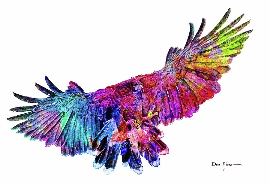 Incoming Hawk Painting by Daniel Adams