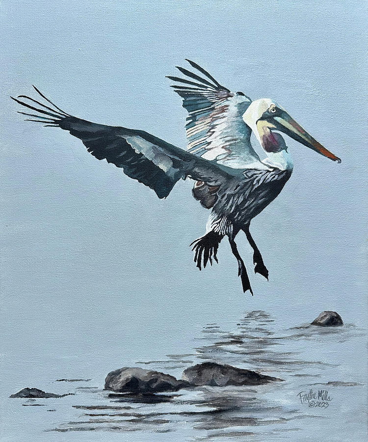 Pelican Painting - Incoming Pelican by Faythe Mills