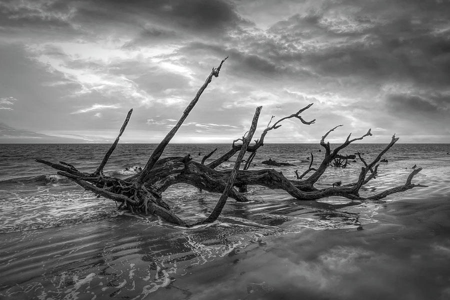 Incoming Waves Jekyll Island Dawn Black and White Photograph by Debra and Dave Vanderlaan