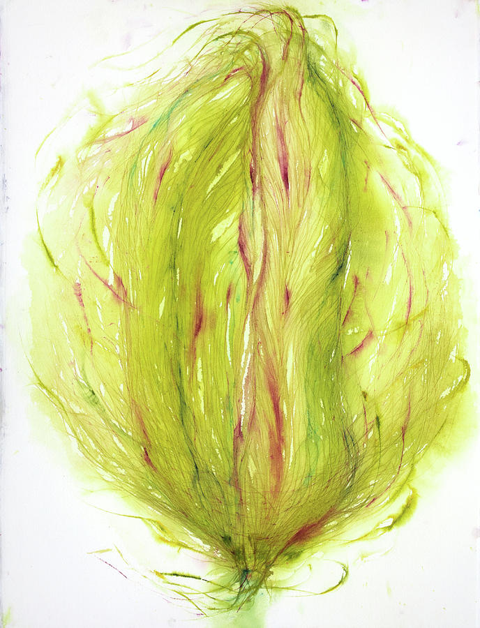 Incomplete Tulipan Painting by Petra Rau